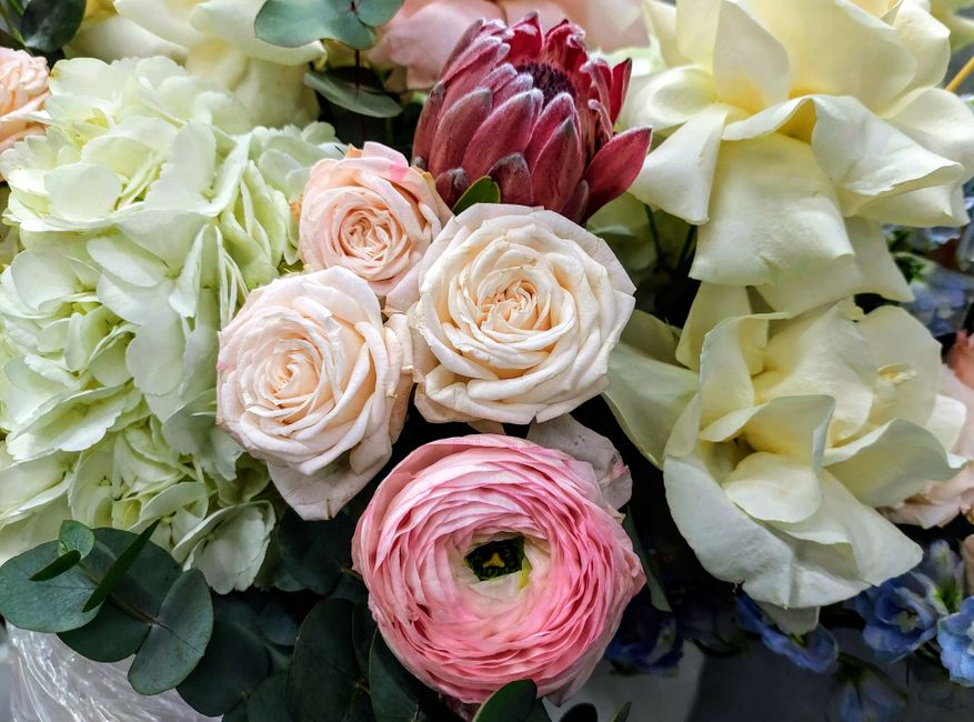 A floral arrangement featuring a variety of fresh flowers, including soft pink and cream roses with tightly layered petals, creamy white hydrangeas with clusters of small petals, large pale yellow or